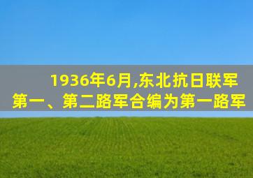 1936年6月,东北抗日联军第一、第二路军合编为第一路军