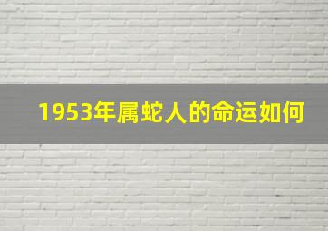 1953年属蛇人的命运如何