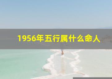 1956年五行属什么命人