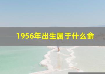 1956年出生属于什么命