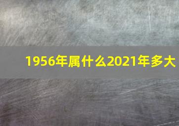 1956年属什么2021年多大