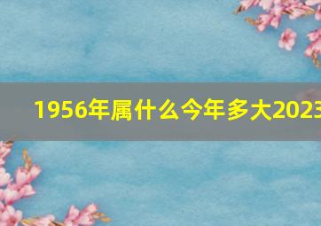 1956年属什么今年多大2023