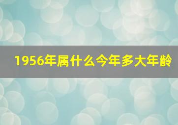 1956年属什么今年多大年龄