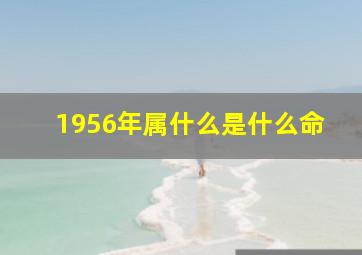 1956年属什么是什么命