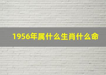 1956年属什么生肖什么命