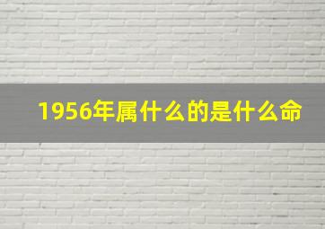 1956年属什么的是什么命