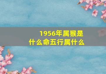 1956年属猴是什么命五行属什么