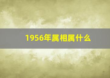 1956年属相属什么