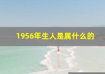 1956年生人是属什么的