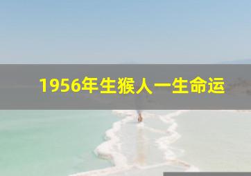 1956年生猴人一生命运