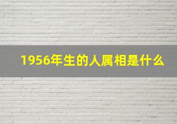 1956年生的人属相是什么