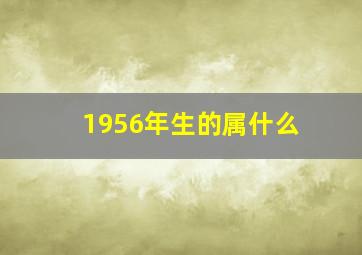 1956年生的属什么