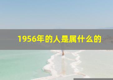 1956年的人是属什么的