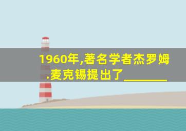 1960年,著名学者杰罗姆.麦克锡提出了_______