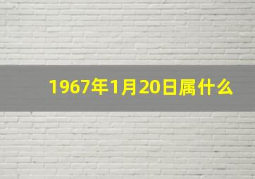 1967年1月20日属什么