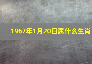 1967年1月20日属什么生肖