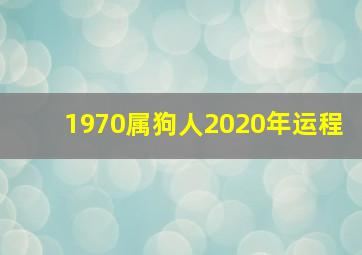 1970属狗人2020年运程