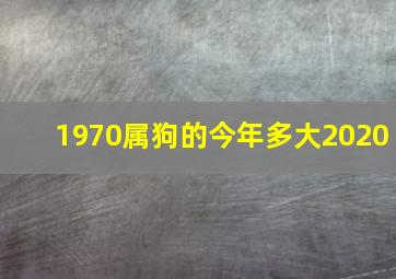 1970属狗的今年多大2020