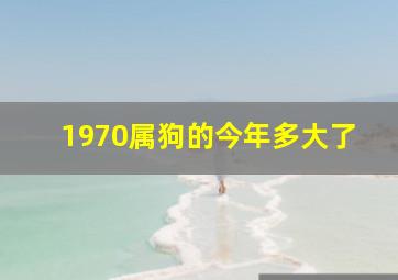 1970属狗的今年多大了