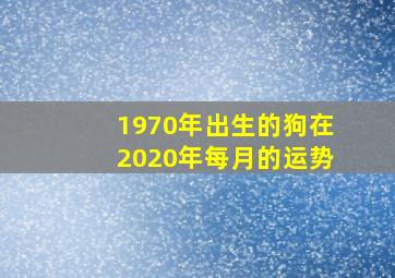 1970年出生的狗在2020年每月的运势