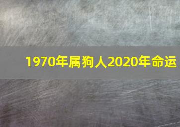 1970年属狗人2020年命运