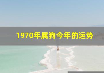 1970年属狗今年的运势