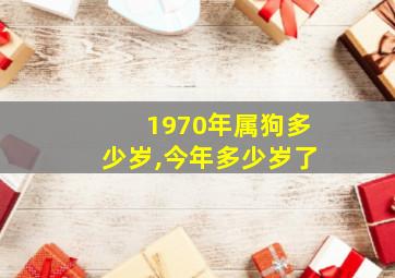 1970年属狗多少岁,今年多少岁了