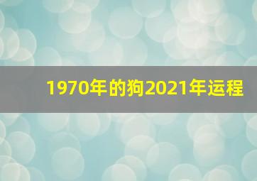 1970年的狗2021年运程