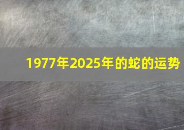 1977年2025年的蛇的运势