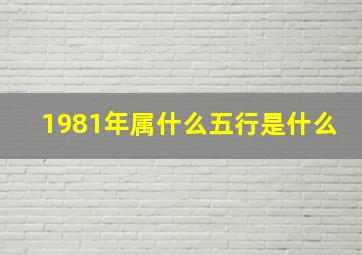 1981年属什么五行是什么