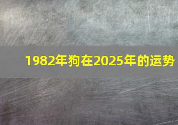 1982年狗在2025年的运势