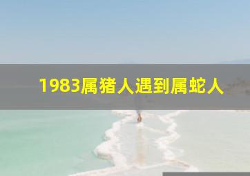 1983属猪人遇到属蛇人