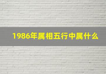 1986年属相五行中属什么