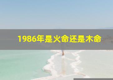 1986年是火命还是木命