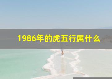 1986年的虎五行属什么