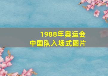 1988年奥运会中国队入场式图片