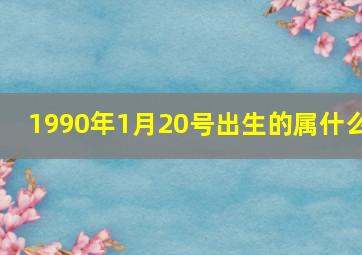 1990年1月20号出生的属什么