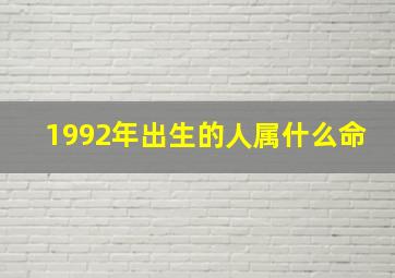 1992年出生的人属什么命