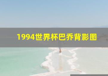 1994世界杯巴乔背影图