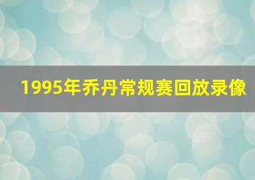 1995年乔丹常规赛回放录像