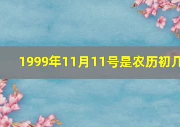 1999年11月11号是农历初几