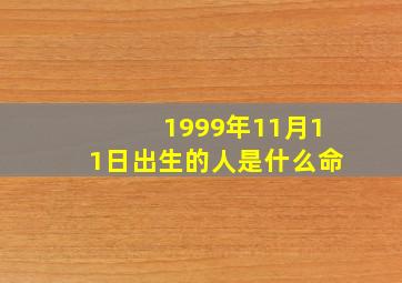 1999年11月11日出生的人是什么命