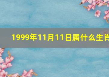 1999年11月11日属什么生肖