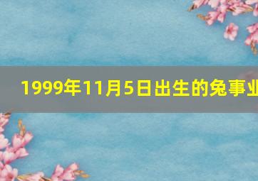 1999年11月5日出生的兔事业