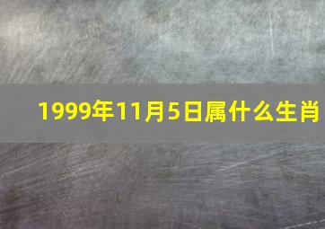 1999年11月5日属什么生肖