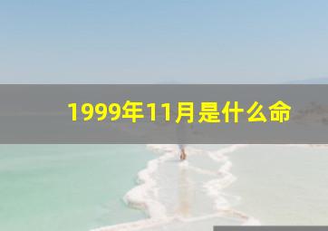 1999年11月是什么命