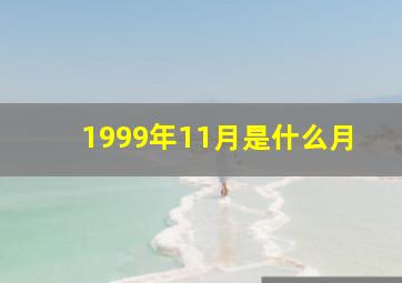 1999年11月是什么月