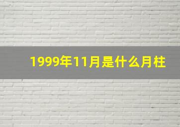 1999年11月是什么月柱