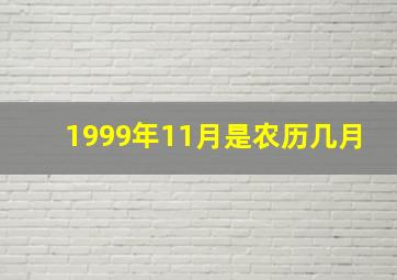 1999年11月是农历几月