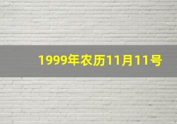 1999年农历11月11号